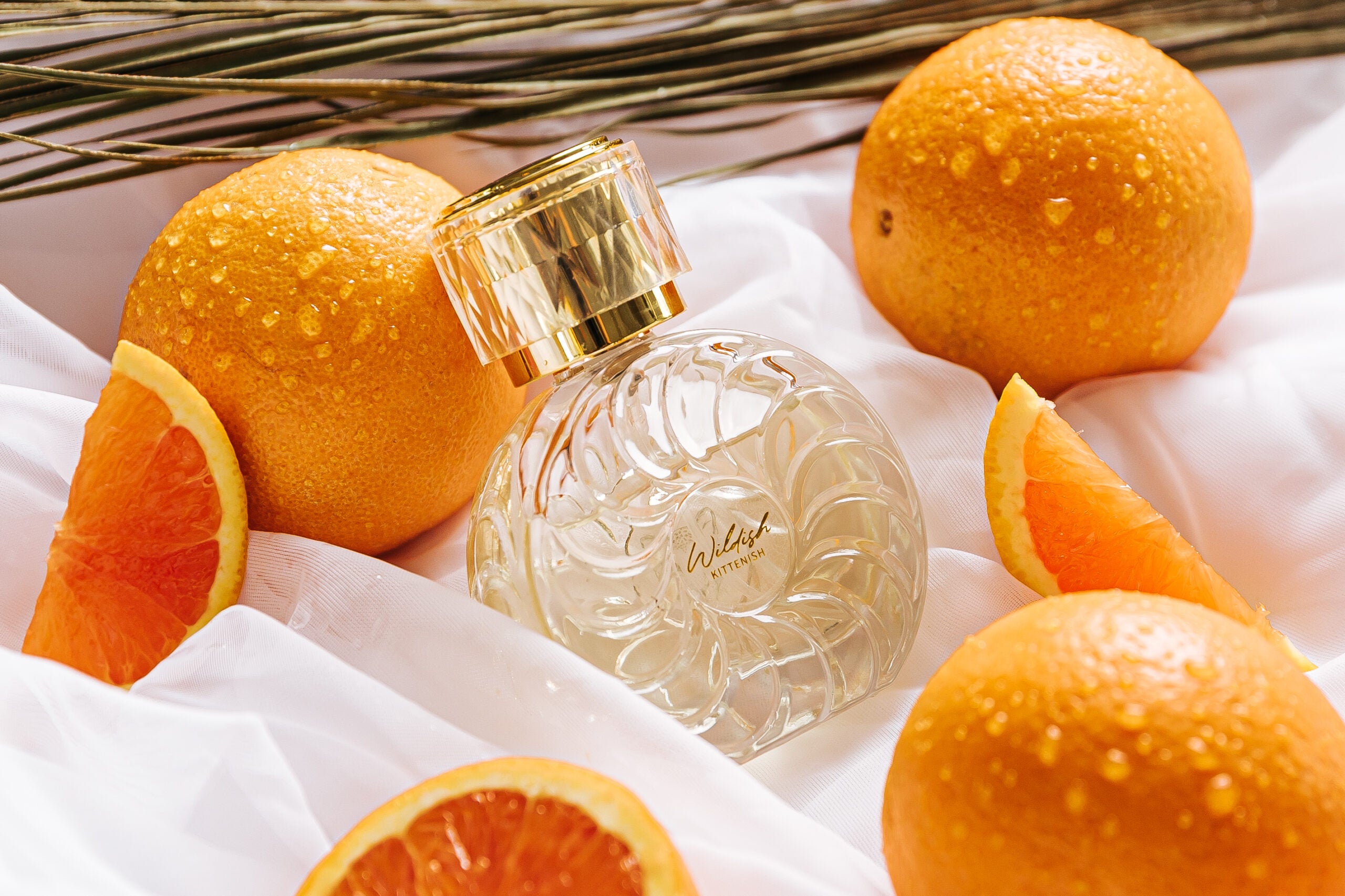 Kittenish and Wildish eau de parfums by Jessie James Decker